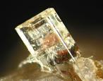 Forsterite